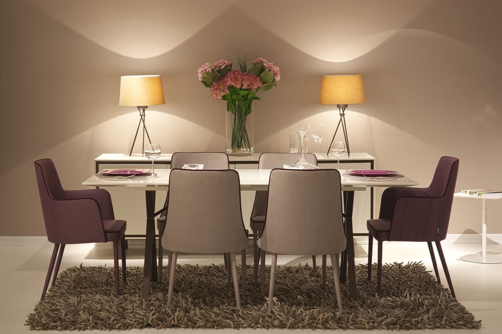 Stylish Dining Chairs & Tables