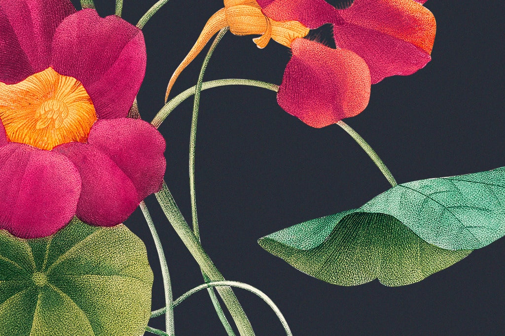 Floral & Nature-Inspired Wall Art