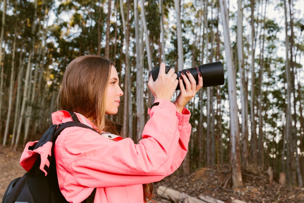 Telephoto Lens for Wildlife Photography